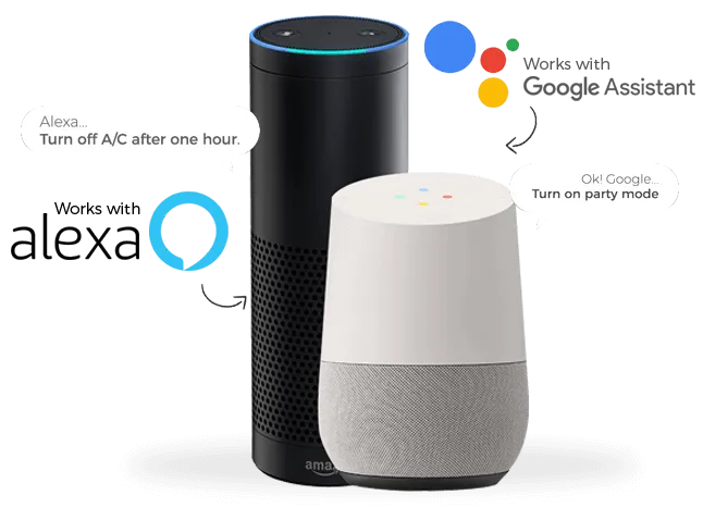 alexa and google home